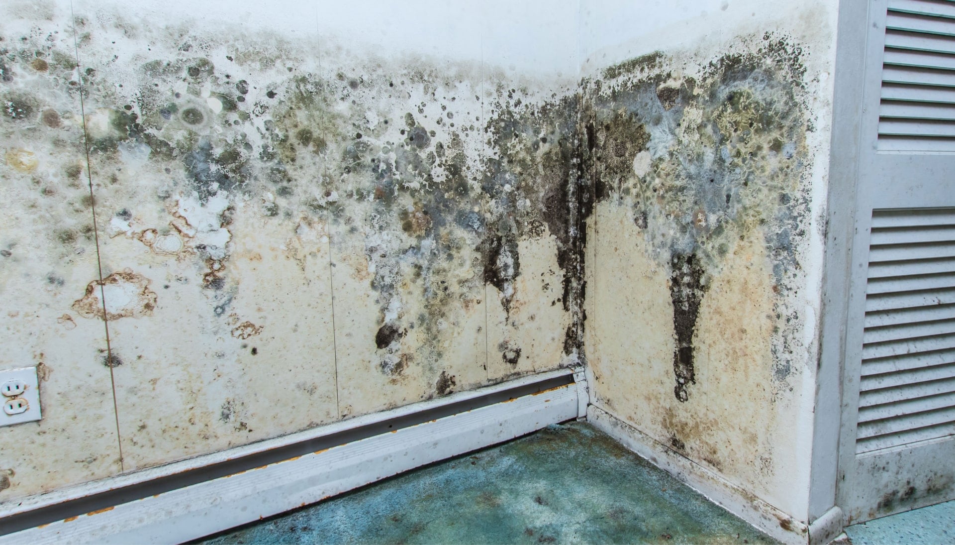 Mold-Damager-Odor-Control in Katy